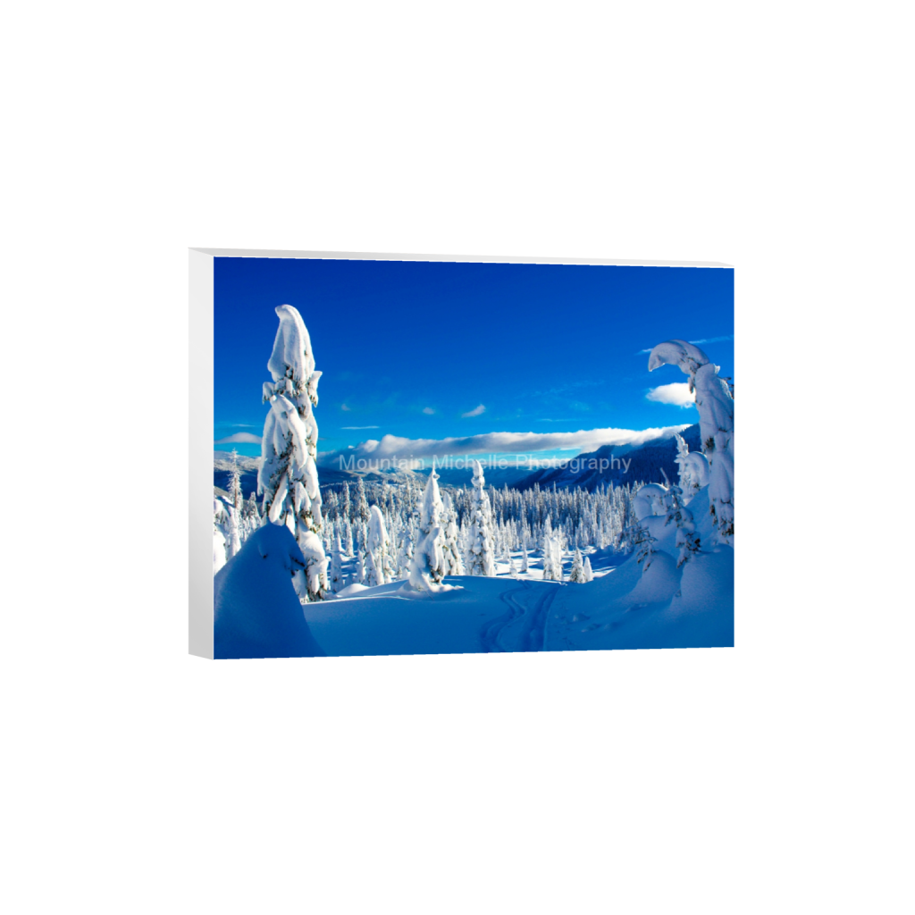ptq_7_5_0_0_4608_3456_0_false_ffffff_0_0_731a5c5f601d11ffb5c856ca918f5642.png