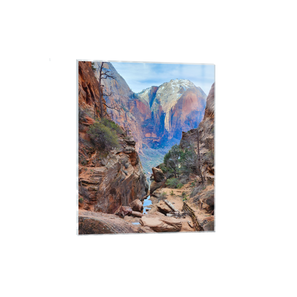 ptq_17_6_0_490_1868_2335_0_false_ffffff_0_0_731a5c5f601d11ffb5c856ca918f5642.png