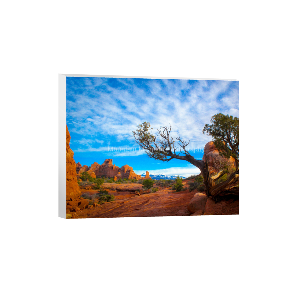 ptq_7_6_0_0_4320_3456_0_false_ffffff_0_0_731a5c5f601d11ffb5c856ca918f5642.png