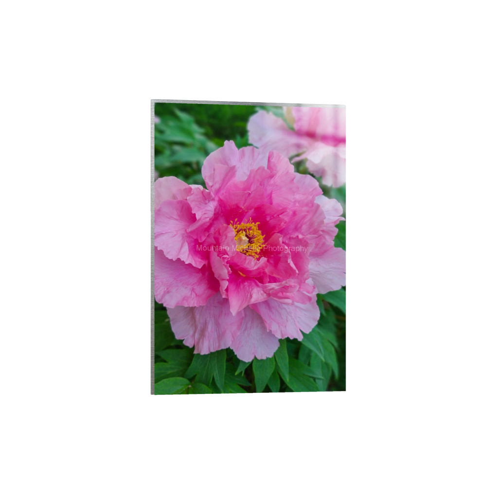 ptq_13_3_340_0_2666_4000_0_false_ffffff_0_0_731a5c5f601d11ffb5c856ca918f5642.png