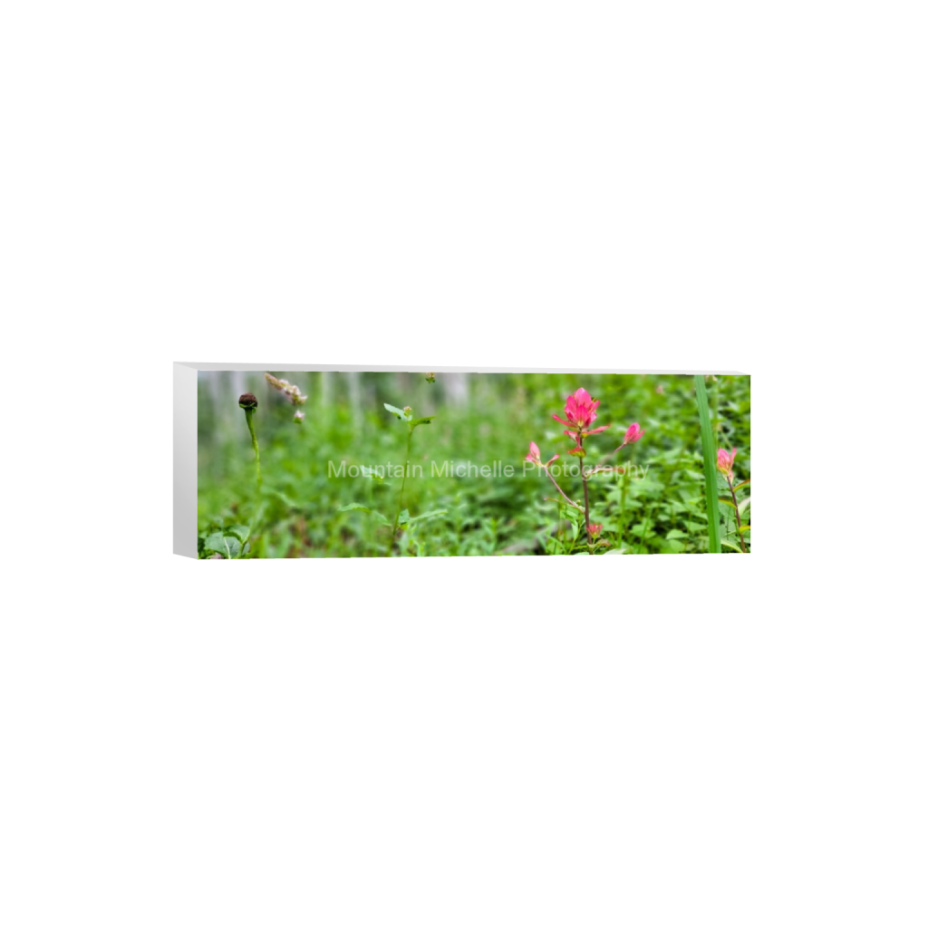 ptq_7_2_0_480_4000_1333_0_false_ffffff_0_0_731a5c5f601d11ffb5c856ca918f5642.png