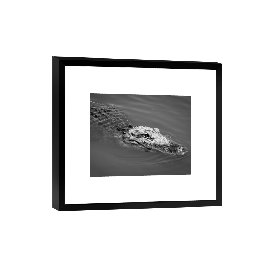ptq_45_6_626_0_3560_2848_0_false_ffffff_0_0_731a5c5f601d11ffb5c856ca918f5642.png