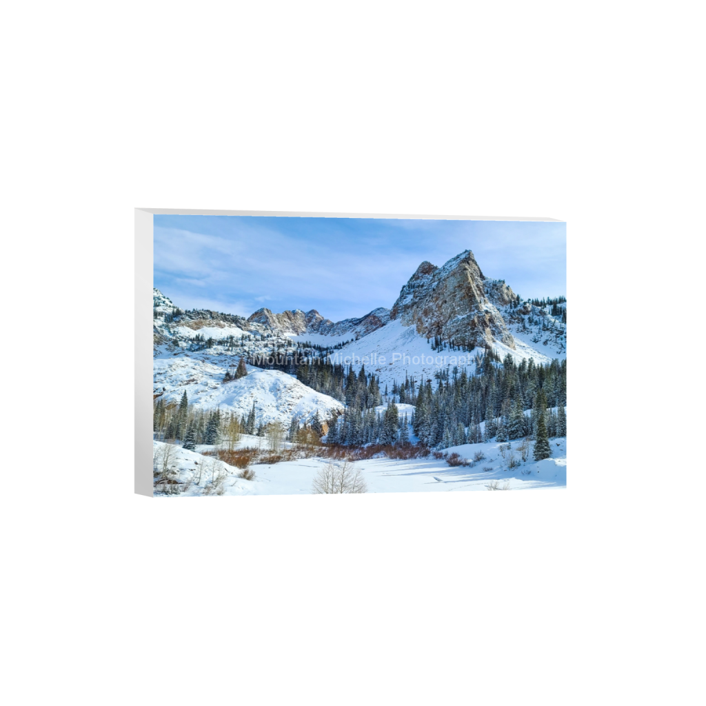 ptq_7_3_517_0_2700_1800_0_false_ffffff_0_0_731a5c5f601d11ffb5c856ca918f5642.png