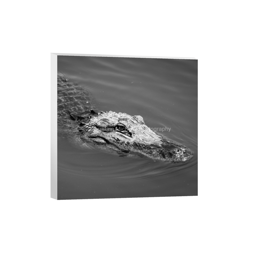 ptq_7_0_1281_0_2848_2848_0_false_ffffff_0_0_731a5c5f601d11ffb5c856ca918f5642.png