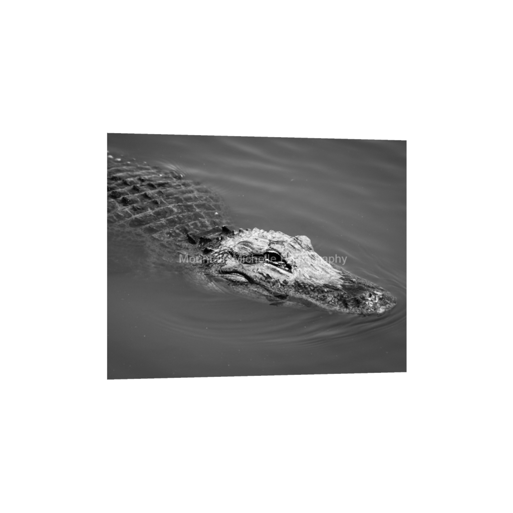 ptq_1_6_626_0_3560_2848_0_false_ffffff_0_0_731a5c5f601d11ffb5c856ca918f5642.png