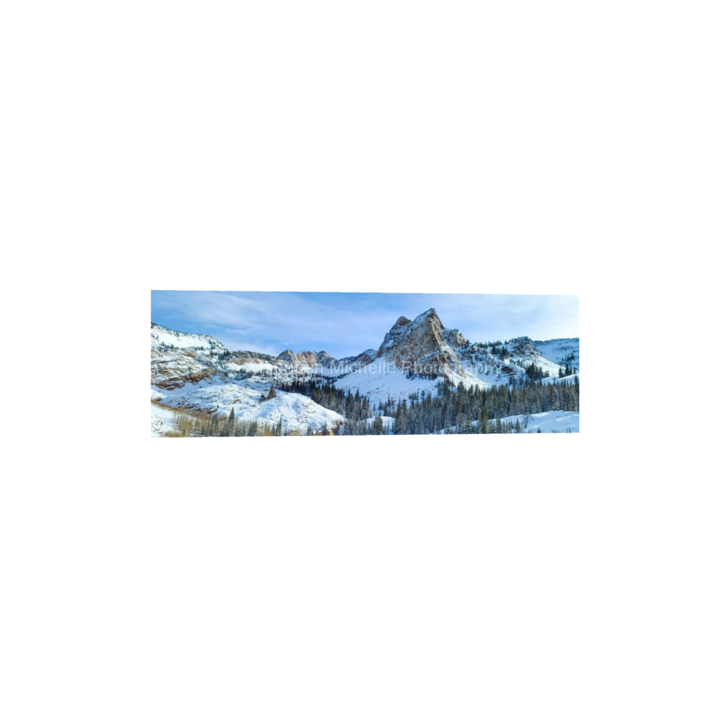 ptq_1_2_0_53_4000_1333_0_false_ffffff_0_0_731a5c5f601d11ffb5c856ca918f5642.png