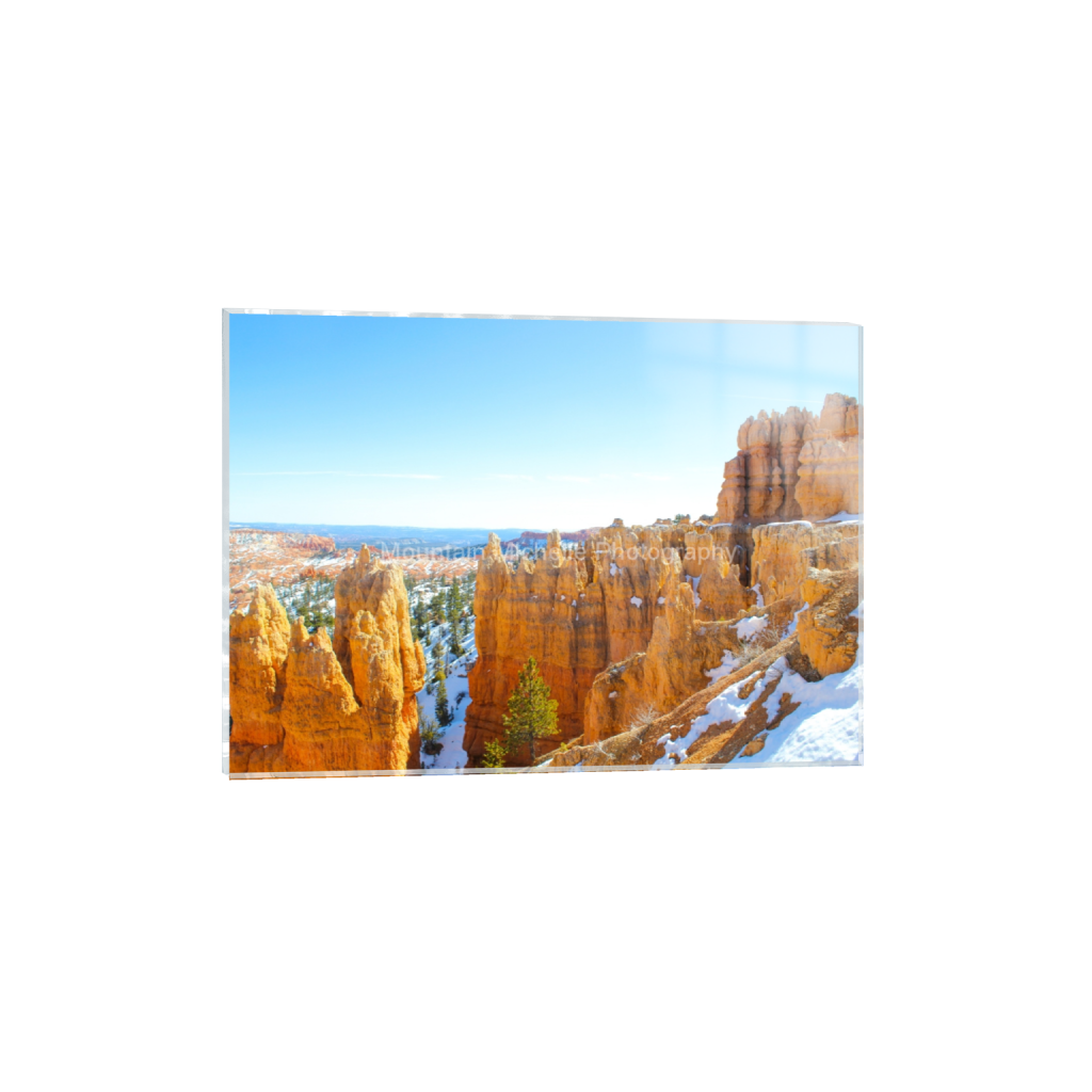 ptq_17_7_362_0_4838_3456_0_false_ffffff_0_0_731a5c5f601d11ffb5c856ca918f5642.png
