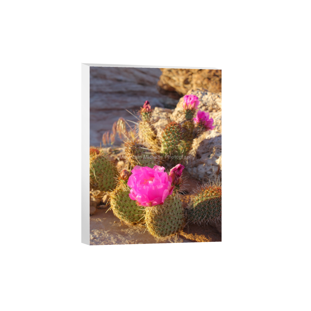 ptq_7_5_0_576_3456_4608_0_false_ffffff_0_0_731a5c5f601d11ffb5c856ca918f5642.png