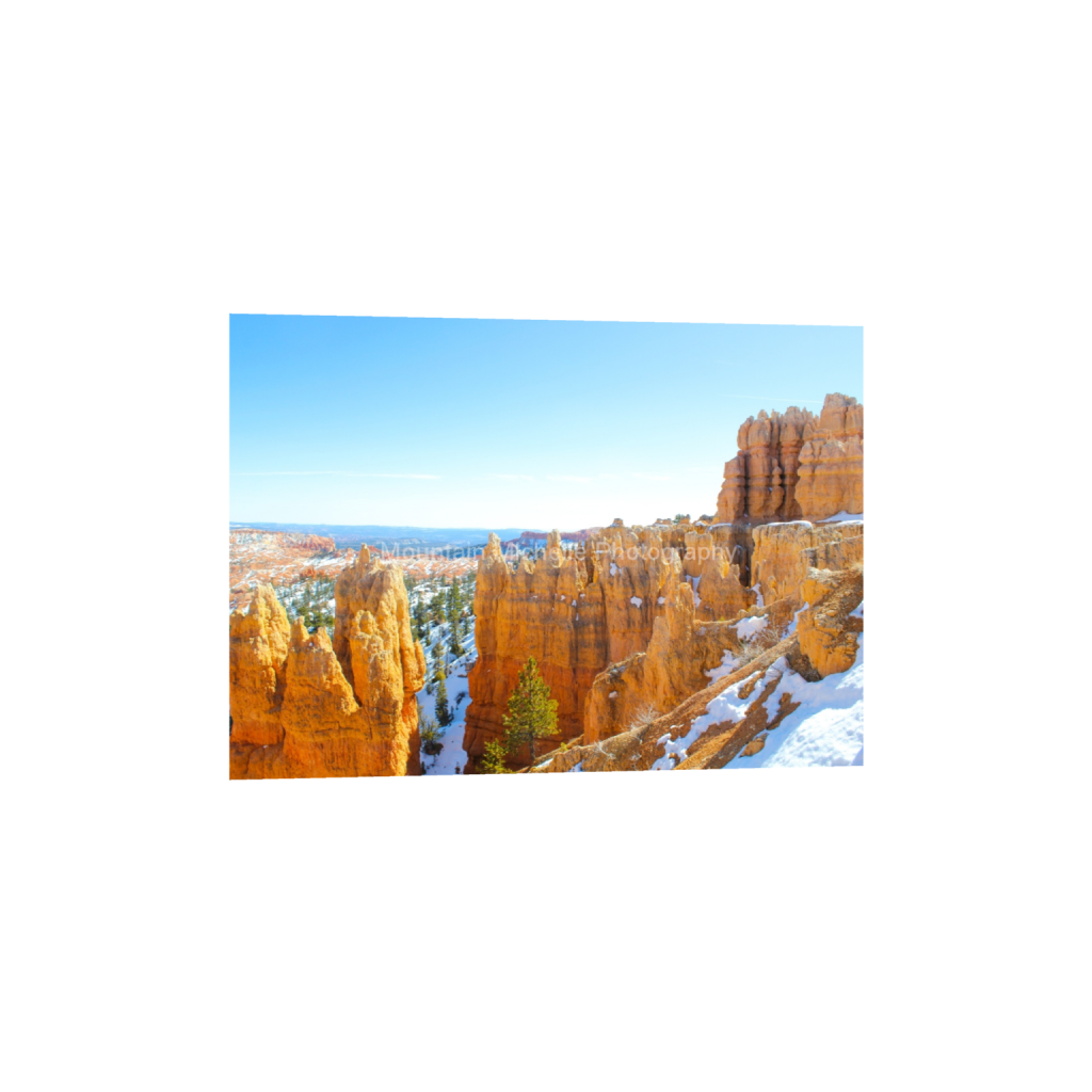ptq_1_7_362_0_4838_3456_0_false_ffffff_0_0_731a5c5f601d11ffb5c856ca918f5642.png