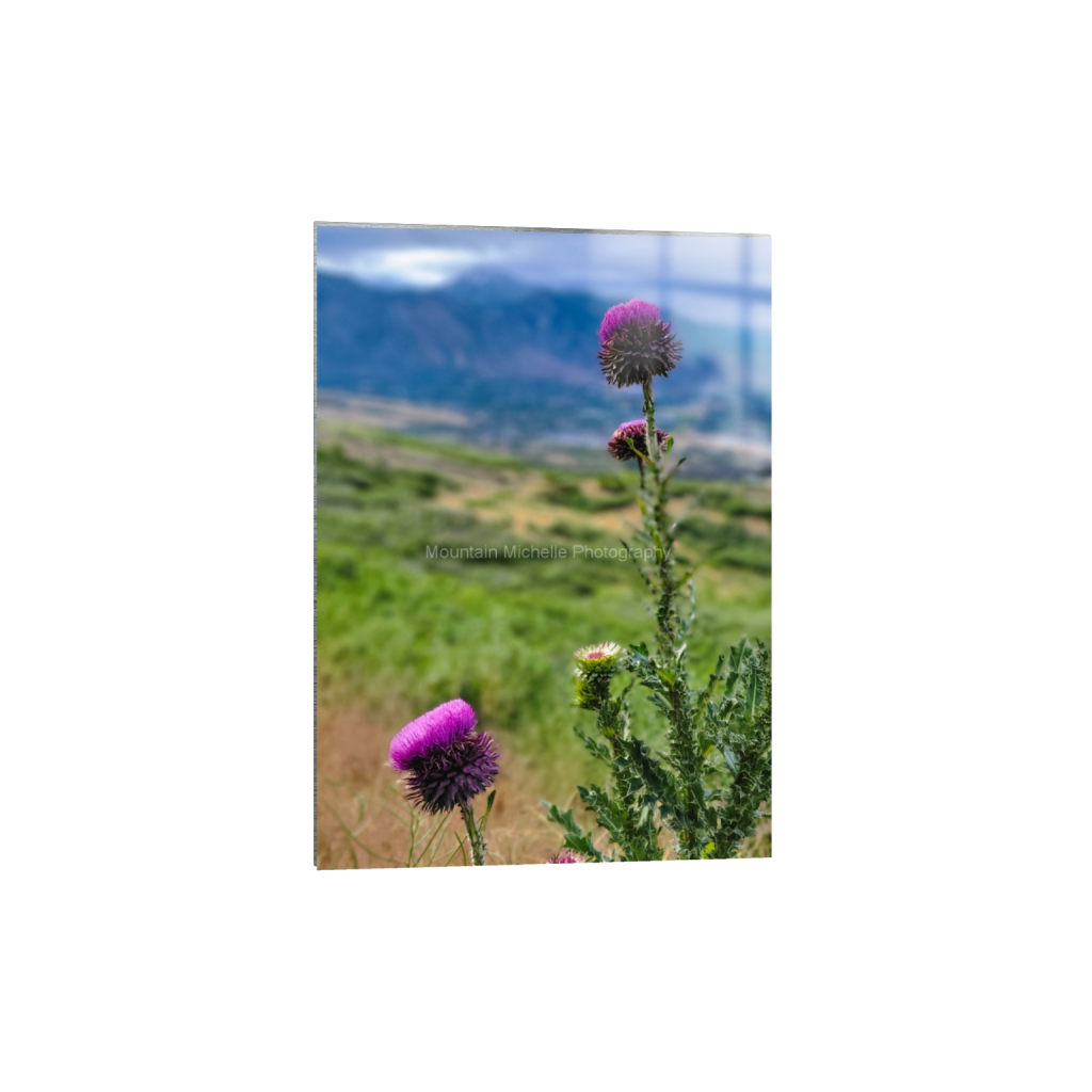 ptq_13_7_0_869_1800_2520_0_false_ffffff_0_0_731a5c5f601d11ffb5c856ca918f5642.png