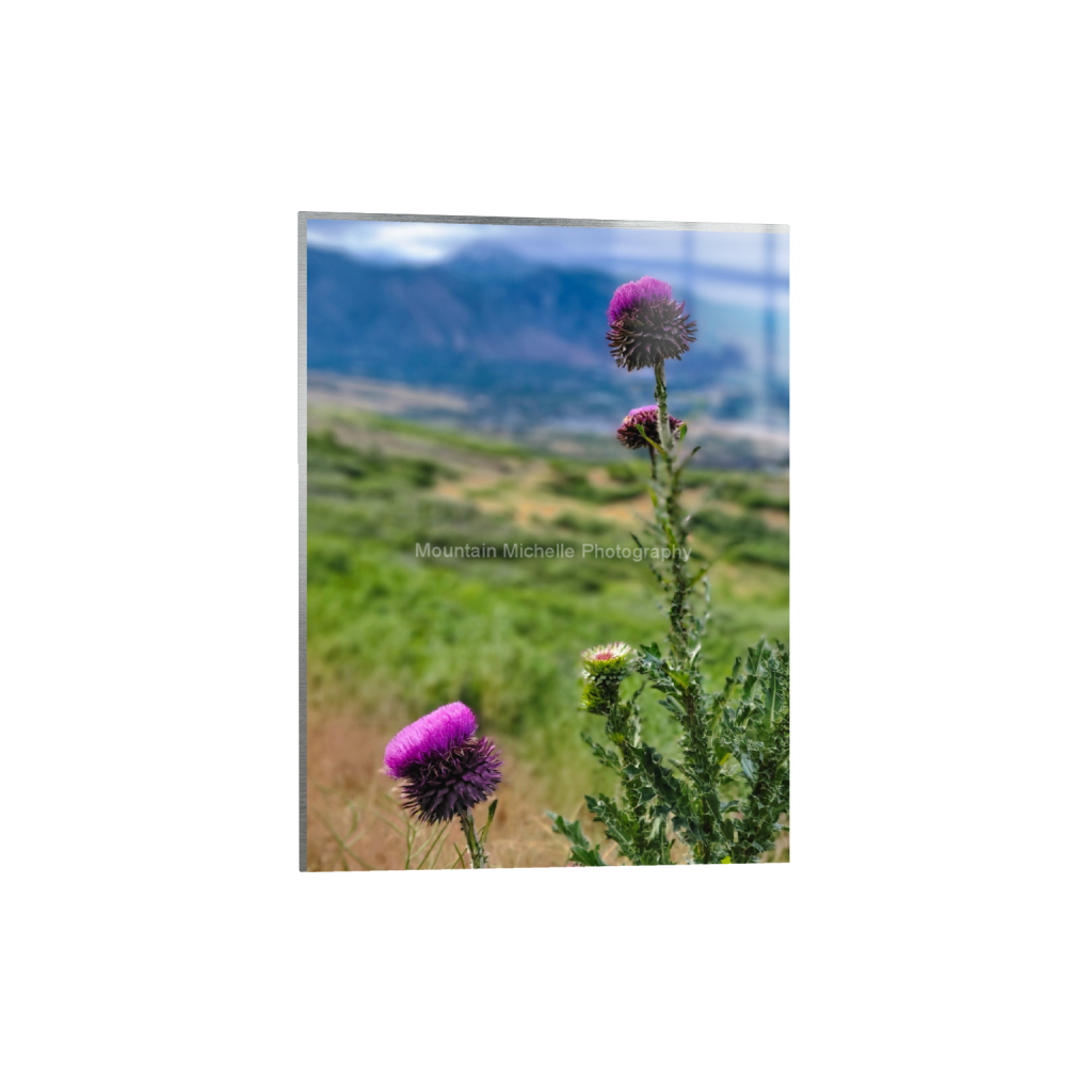 ptq_13_5_0_948_1800_2400_0_false_ffffff_0_0_731a5c5f601d11ffb5c856ca918f5642.png