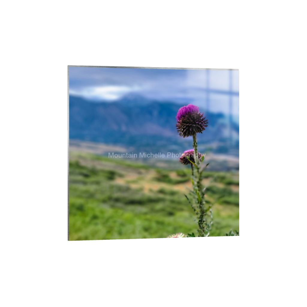 ptq_13_0_0_756_1800_1800_0_false_ffffff_0_0_731a5c5f601d11ffb5c856ca918f5642.png