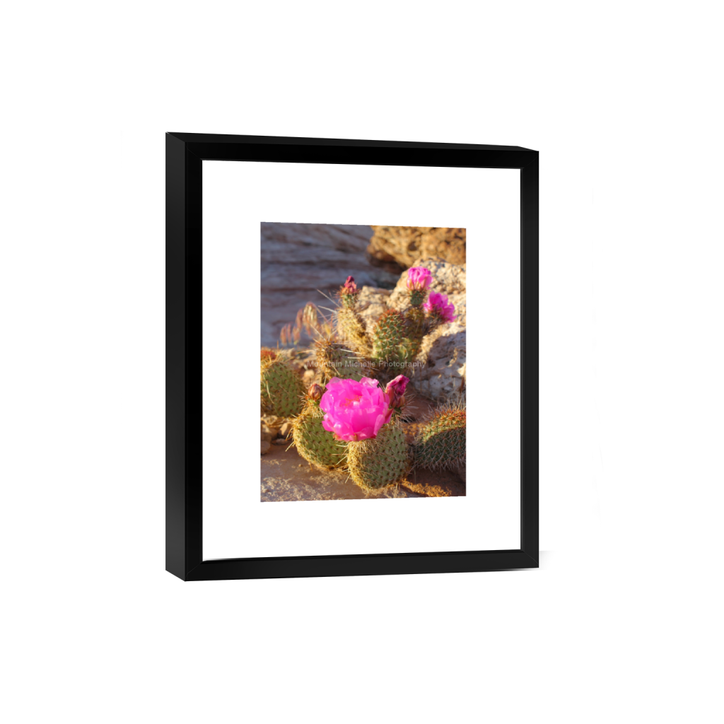 ptq_45_5_0_576_3456_4608_0_false_ffffff_0_0_731a5c5f601d11ffb5c856ca918f5642.png