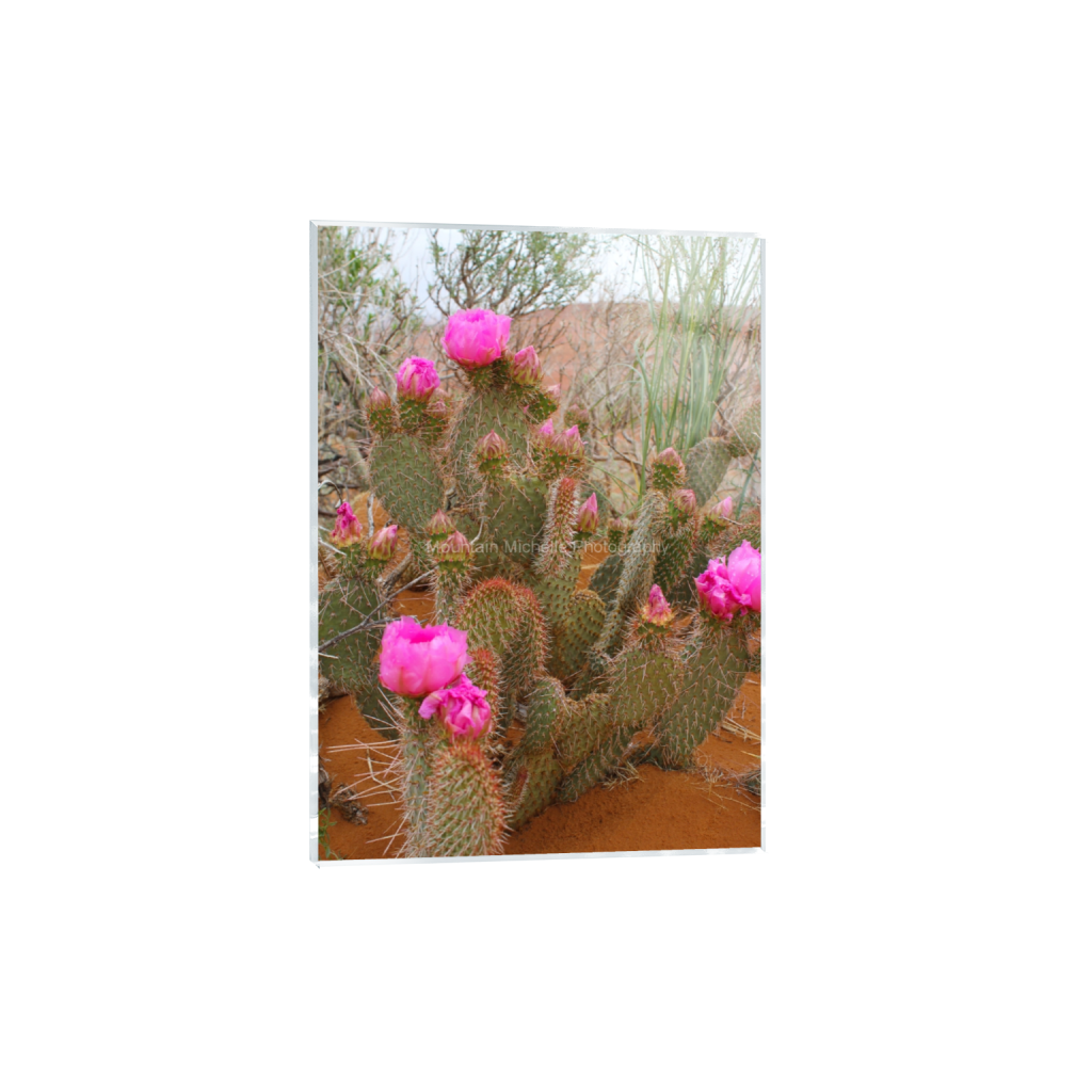 ptq_17_7_0_345_3456_4838_0_false_ffffff_0_0_731a5c5f601d11ffb5c856ca918f5642.png