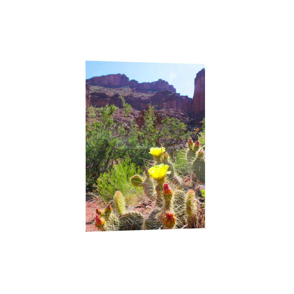 ptq_1_7_0_0_3456_4838_0_false_ffffff_0_0_731a5c5f601d11ffb5c856ca918f5642.png
