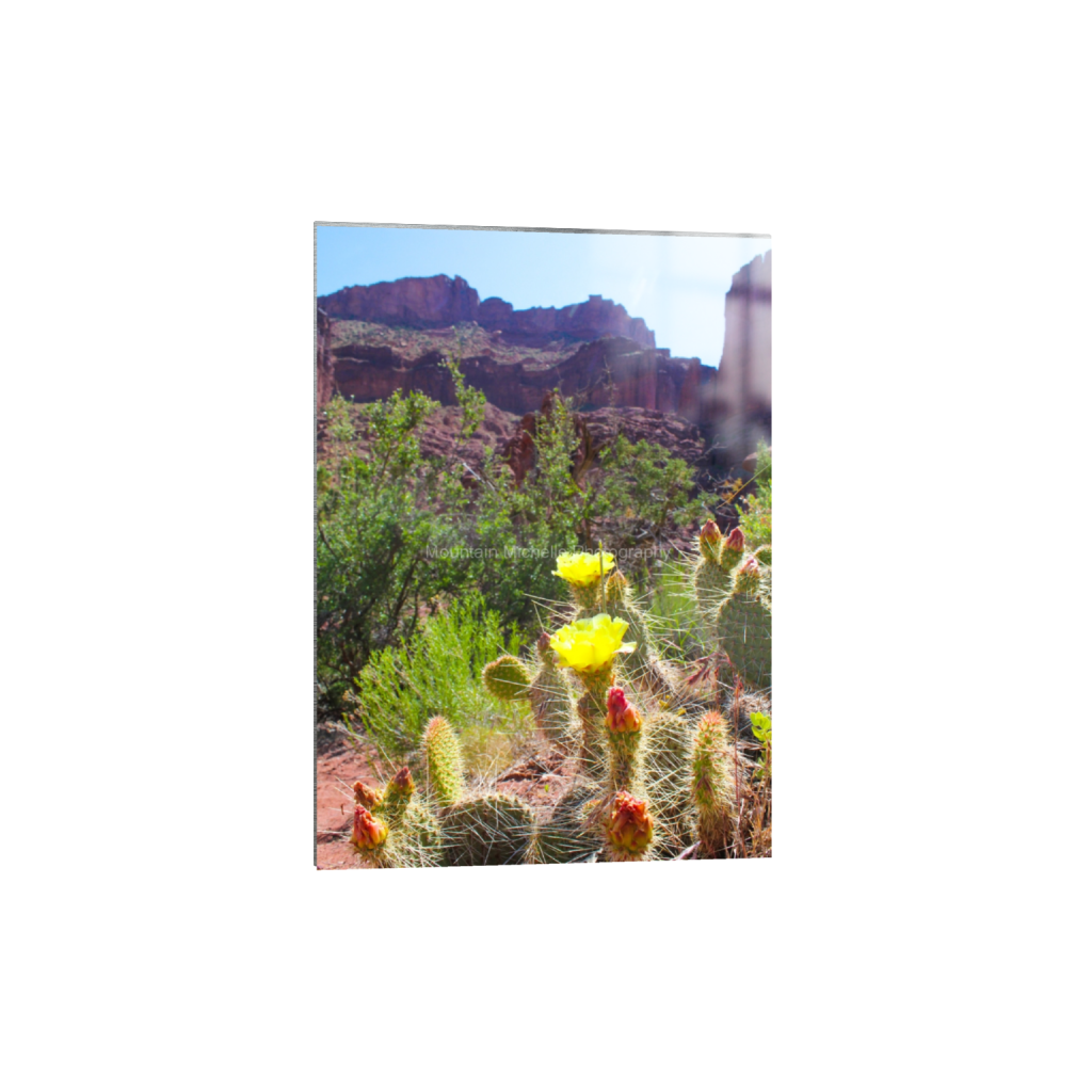 ptq_13_7_0_0_3456_4838_0_false_ffffff_0_0_731a5c5f601d11ffb5c856ca918f5642.png