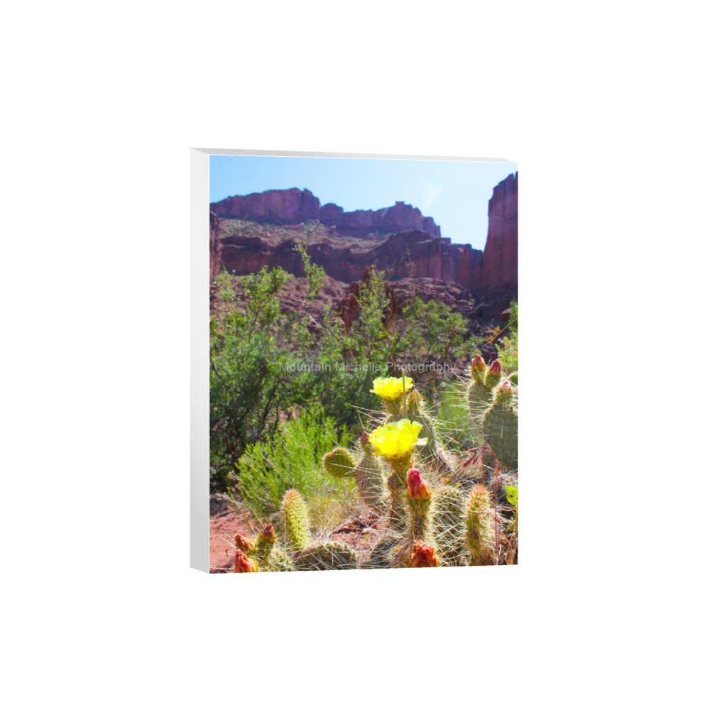 ptq_7_5_0_0_3456_4608_0_false_ffffff_0_0_731a5c5f601d11ffb5c856ca918f5642.png