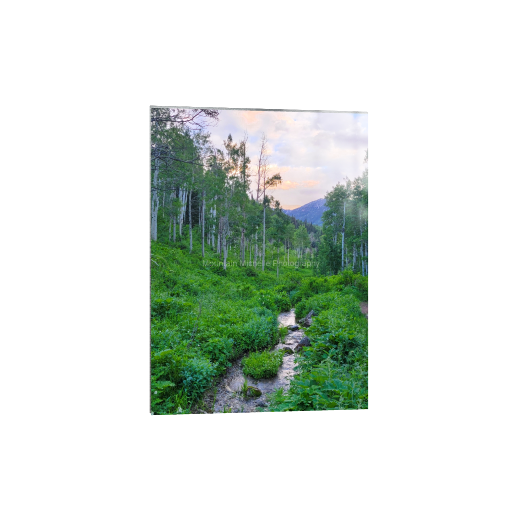 ptq_13_7_10_592_1800_2520_0_false_ffffff_0_0_731a5c5f601d11ffb5c856ca918f5642.png