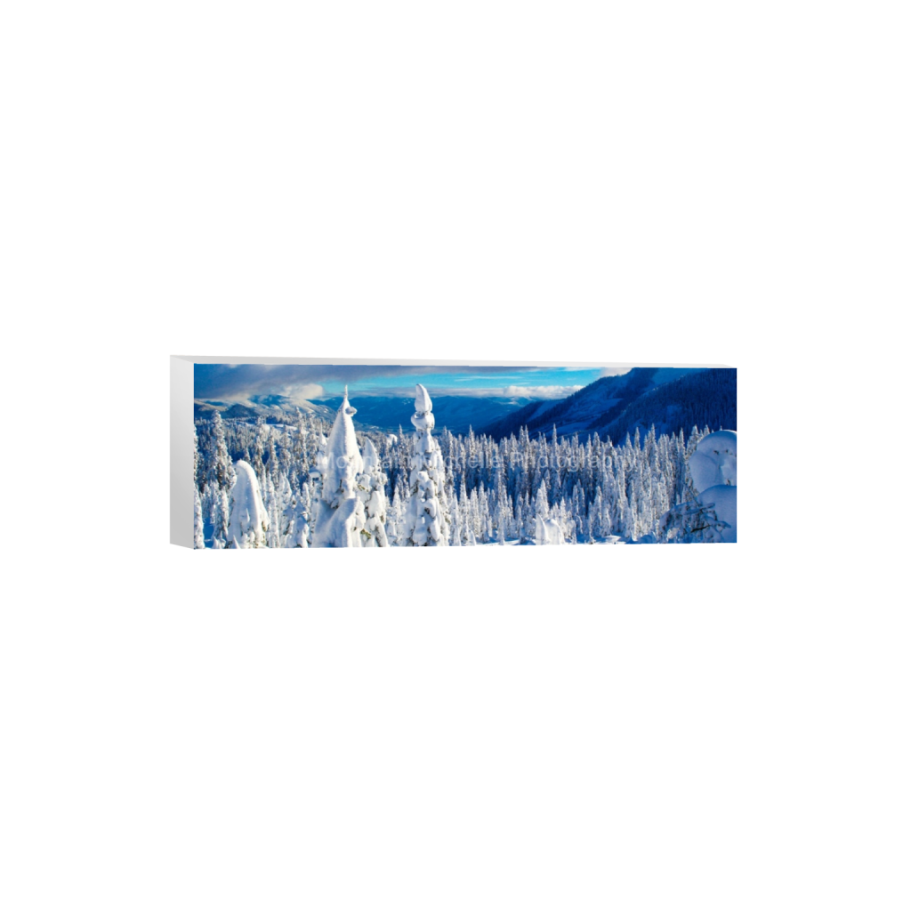 ptq_7_2_0_1036_5184_1728_0_false_ffffff_0_0_731a5c5f601d11ffb5c856ca918f5642.png