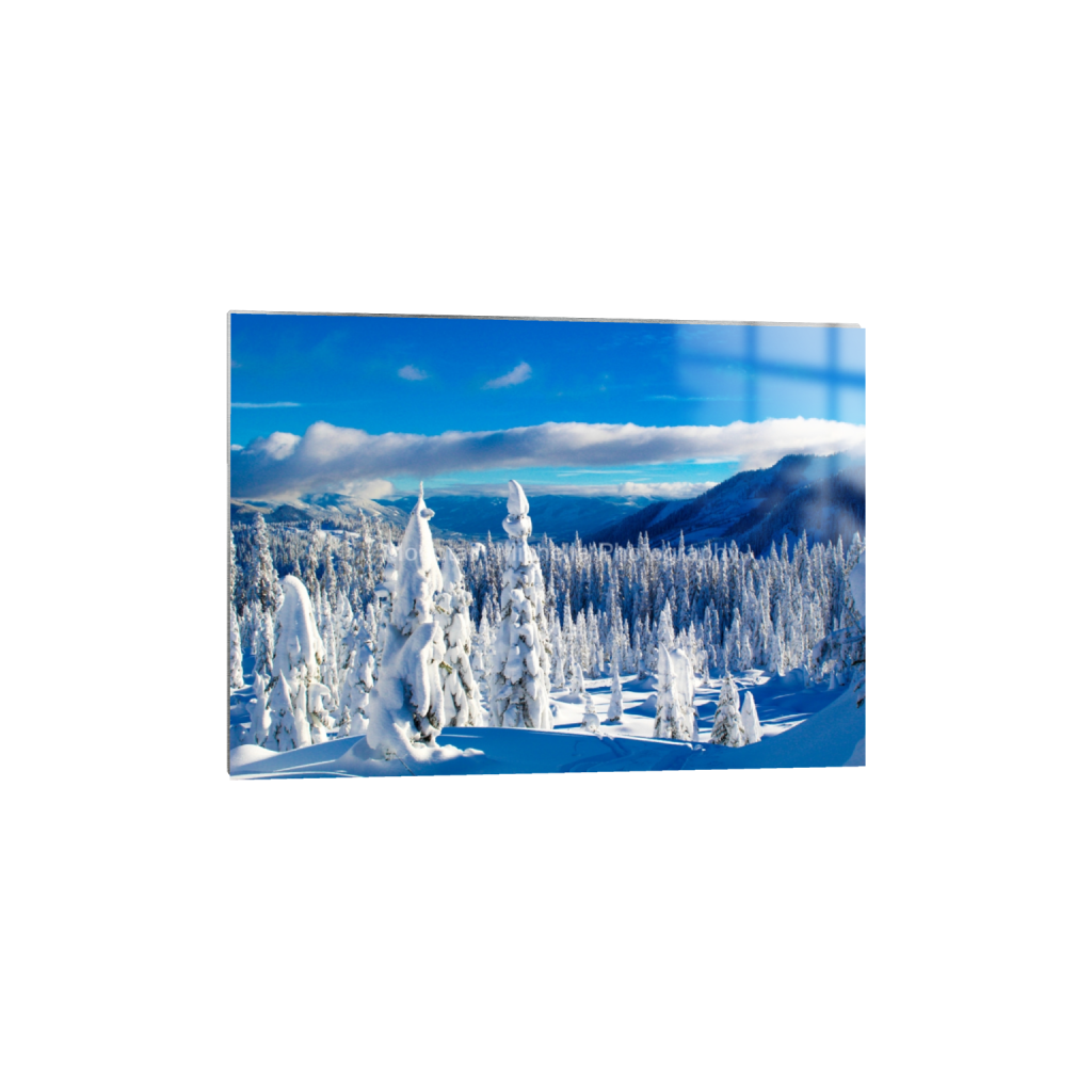 ptq_13_7_0_0_4838_3456_0_false_ffffff_0_0_731a5c5f601d11ffb5c856ca918f5642.png