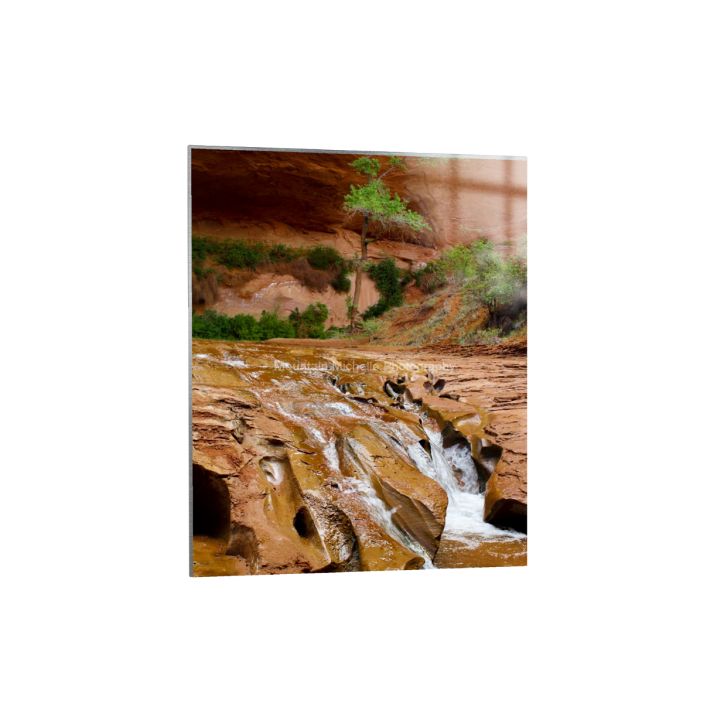 ptq_13_6_0_539_3456_4320_0_false_ffffff_0_0_731a5c5f601d11ffb5c856ca918f5642.png