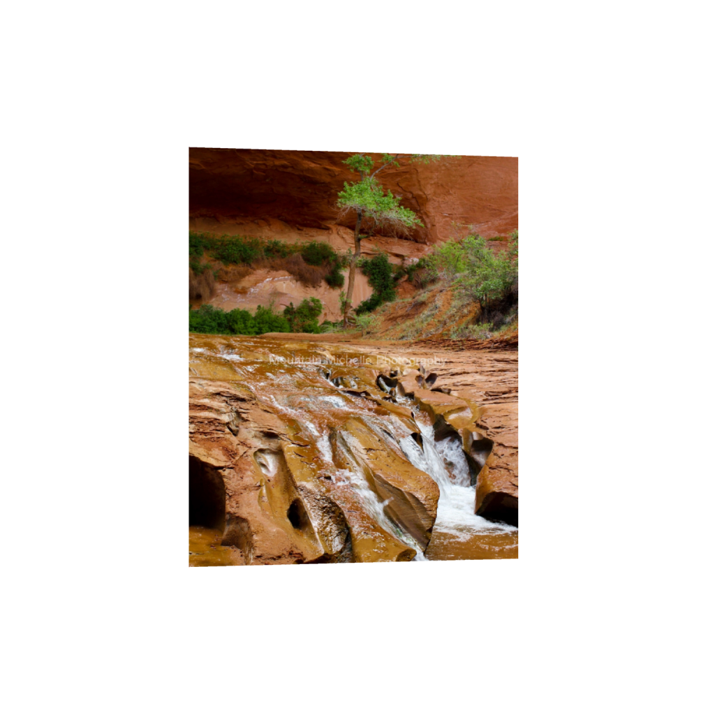 ptq_1_6_0_539_3456_4320_0_false_ffffff_0_0_731a5c5f601d11ffb5c856ca918f5642.png