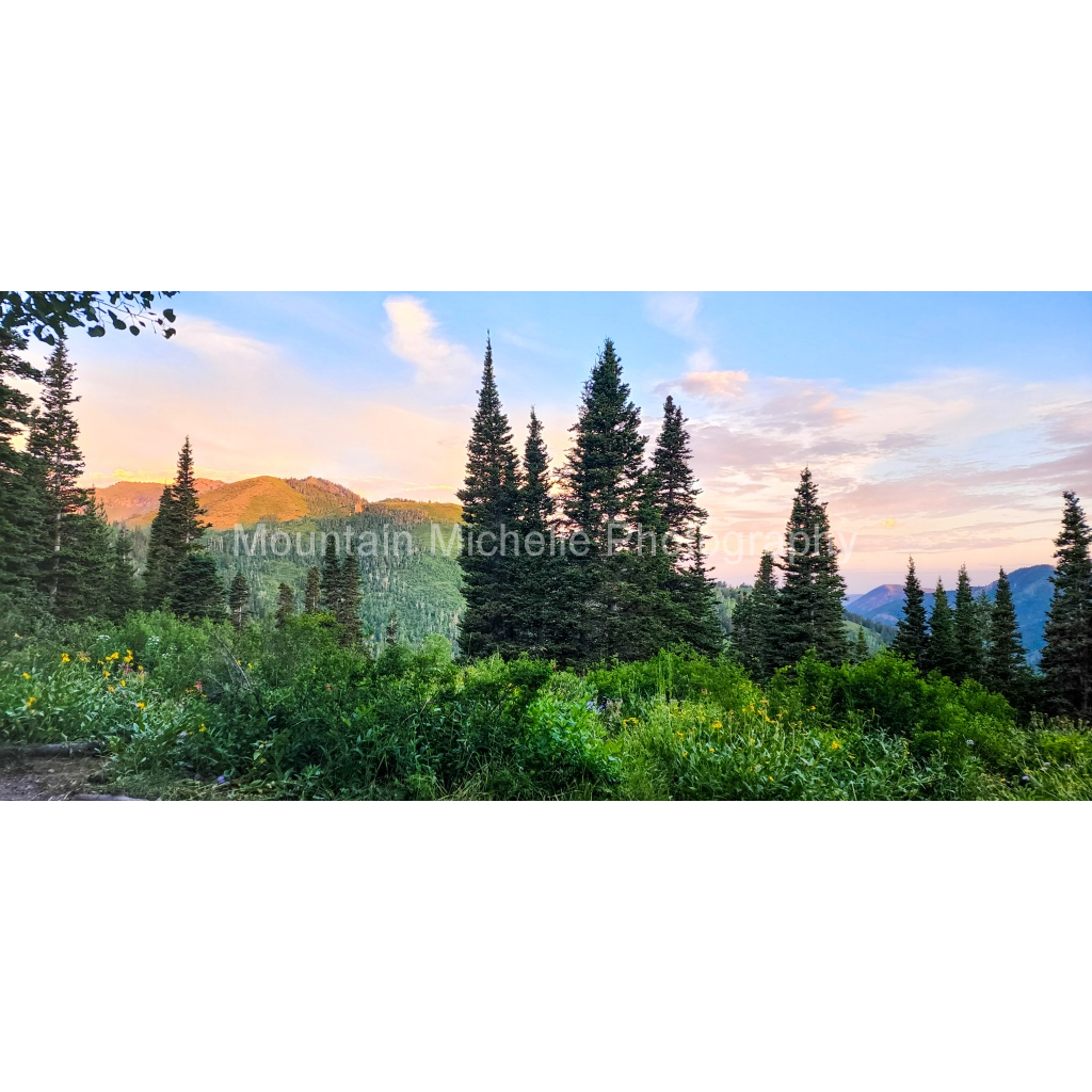 image_original_731a5c5f601d11ffb5c856ca918f5642.png