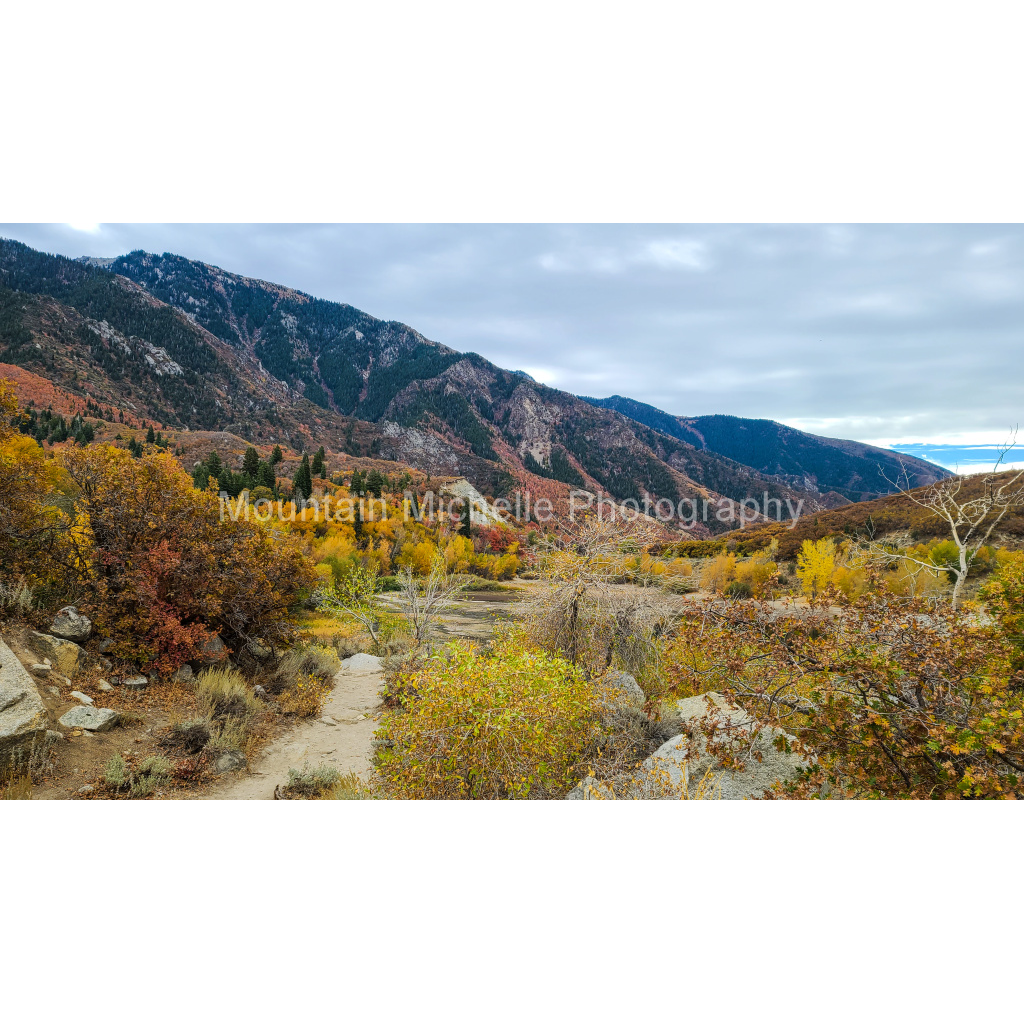 image_original_731a5c5f601d11ffb5c856ca918f5642.png