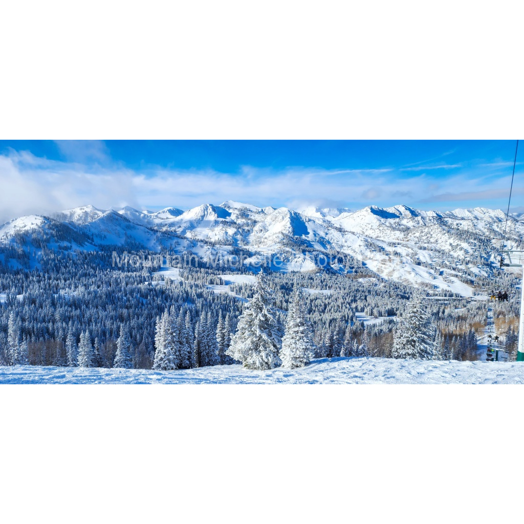 image_original_731a5c5f601d11ffb5c856ca918f5642.png