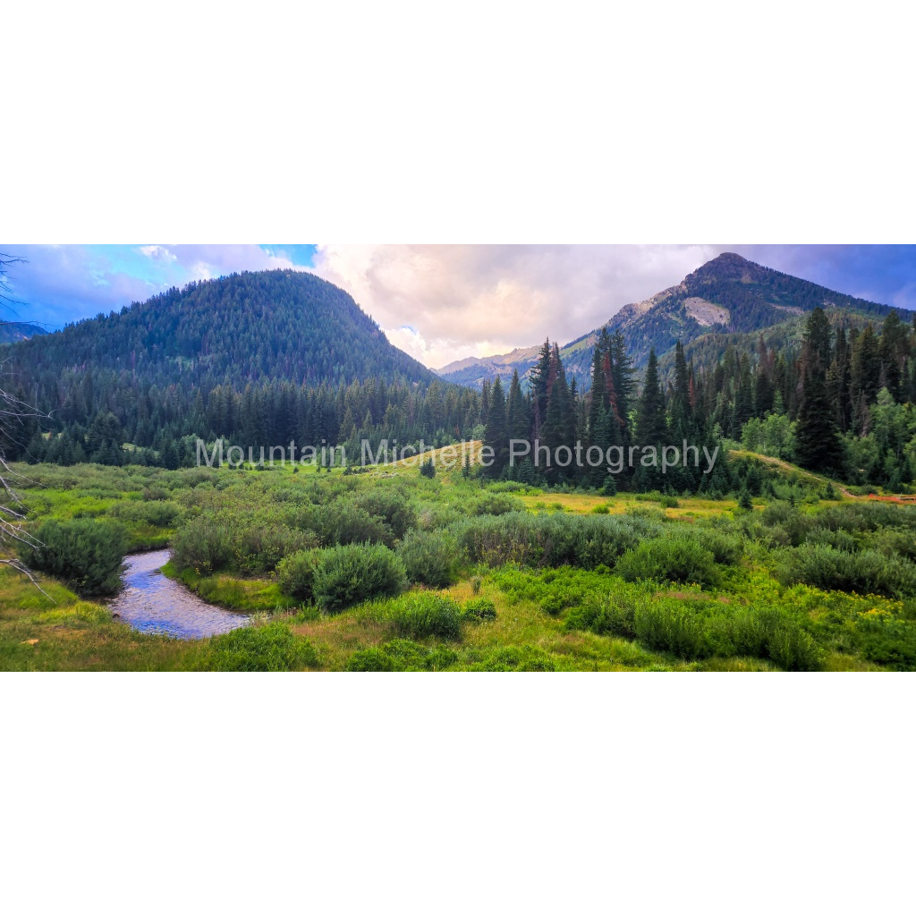 image_original_731a5c5f601d11ffb5c856ca918f5642.png