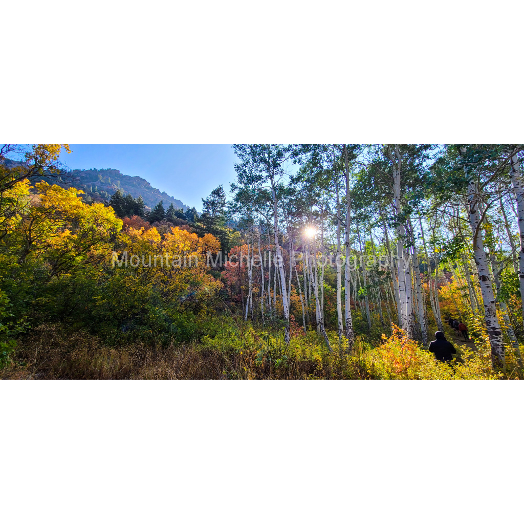 image_original_731a5c5f601d11ffb5c856ca918f5642.png