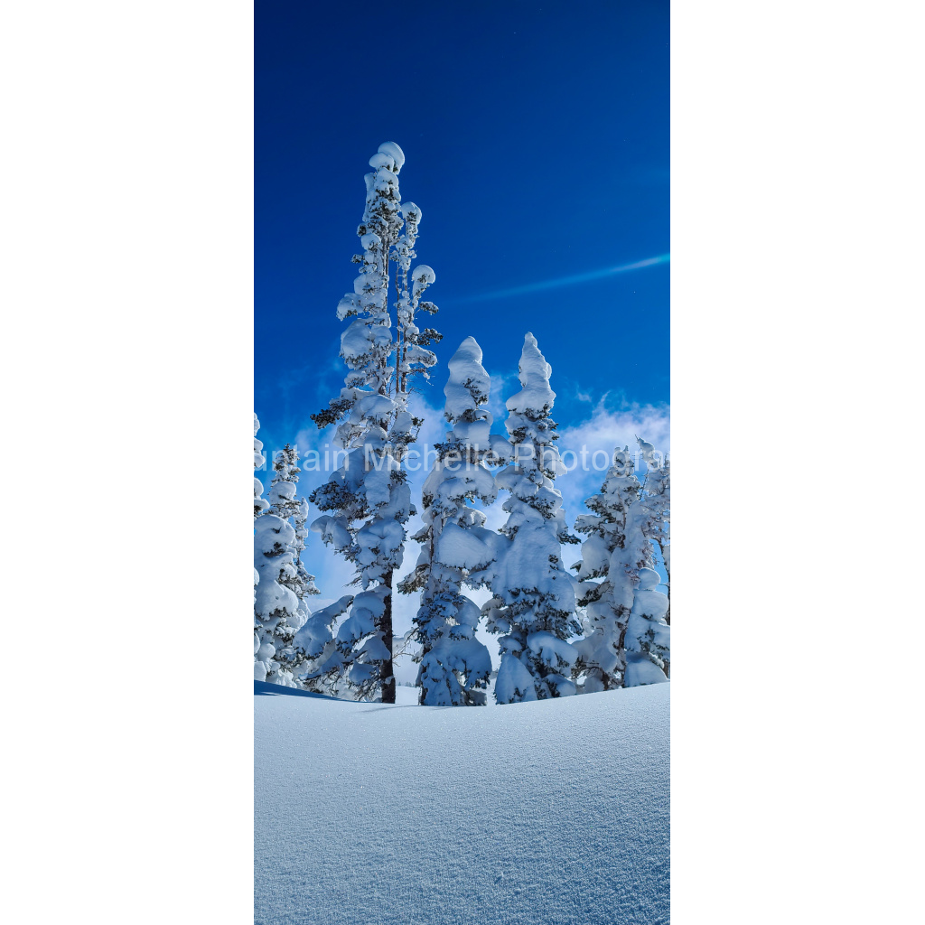 image_original_731a5c5f601d11ffb5c856ca918f5642.png