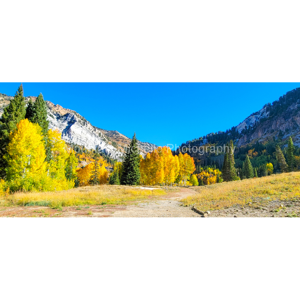 image_original_731a5c5f601d11ffb5c856ca918f5642.png