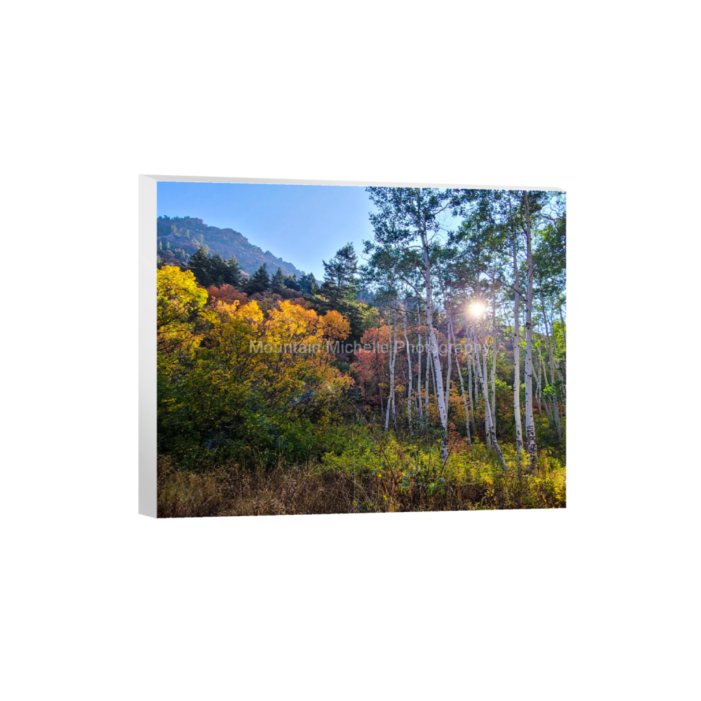 ptq_7_6_675_0_2250_1800_0_false_ffffff_0_0_731a5c5f601d11ffb5c856ca918f5642.png