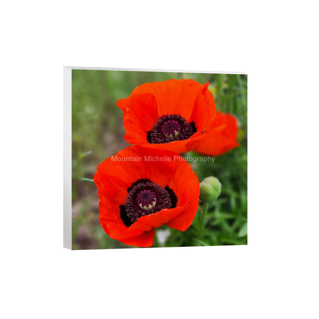 ptq_7_0_0_980_1868_1868_0_false_ffffff_0_0_731a5c5f601d11ffb5c856ca918f5642.png