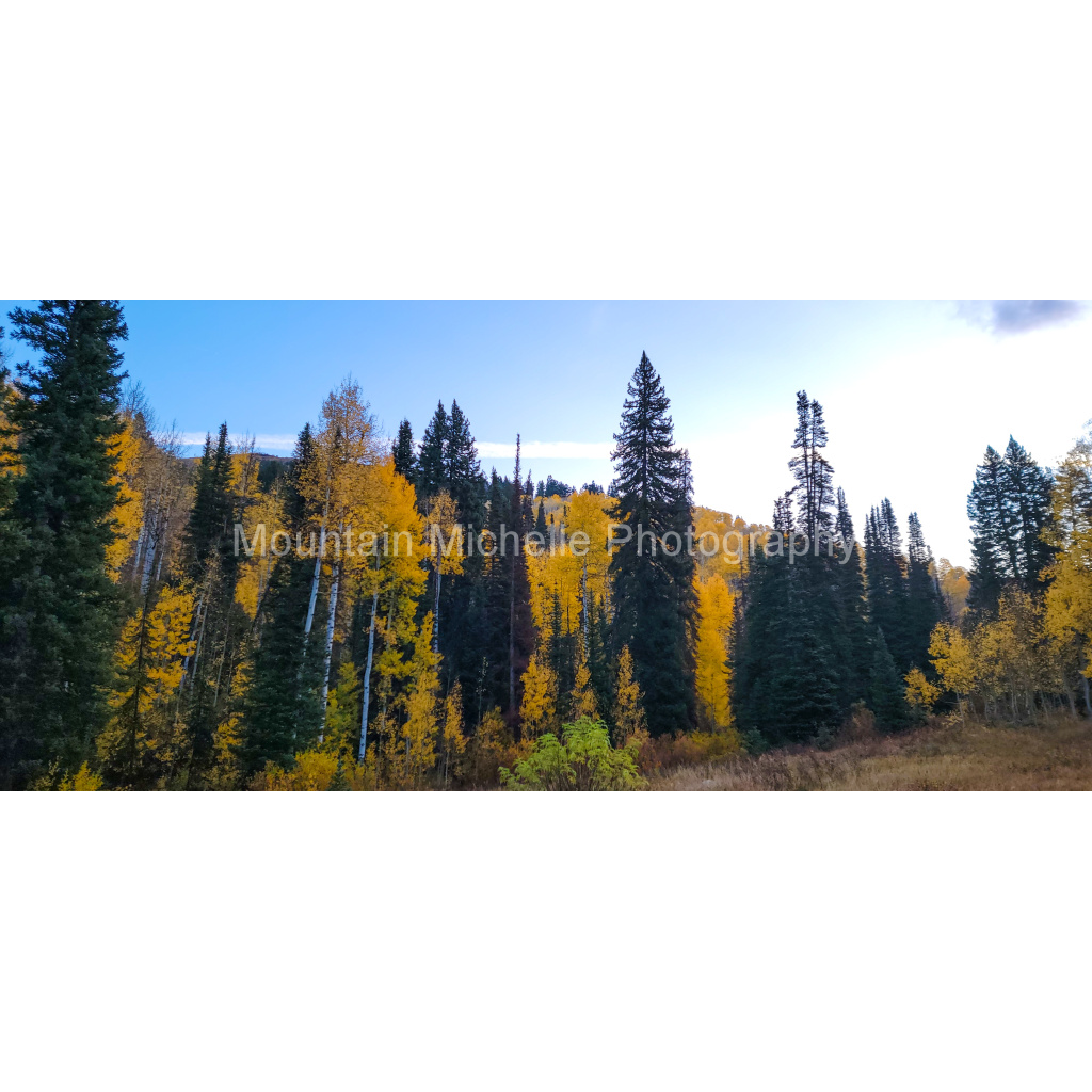 image_original_731a5c5f601d11ffb5c856ca918f5642.png