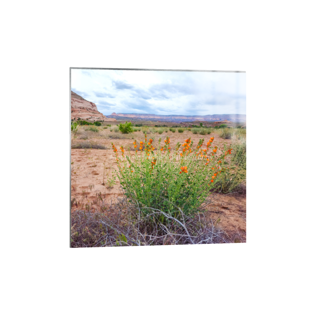ptq_13_0_3000_0_9000_9000_0_false_ffffff_0_0_731a5c5f601d11ffb5c856ca918f5642.png