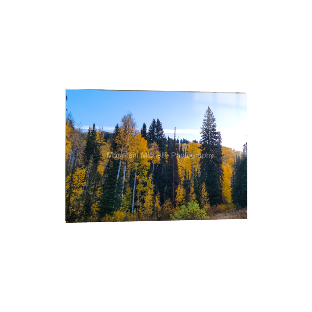 ptq_13_7_450_0_2520_1800_0_false_ffffff_0_0_731a5c5f601d11ffb5c856ca918f5642.png