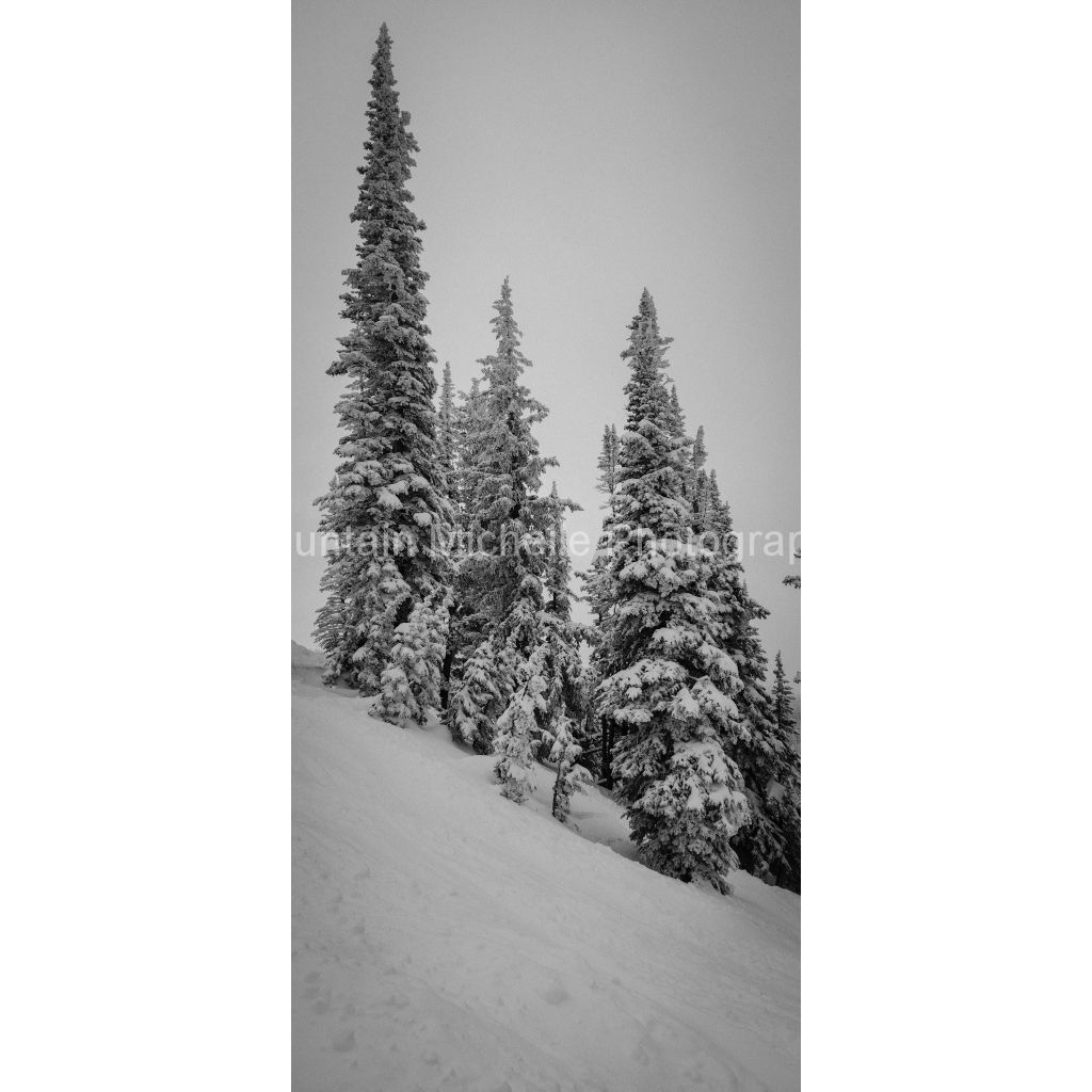 image_original_731a5c5f601d11ffb5c856ca918f5642.png