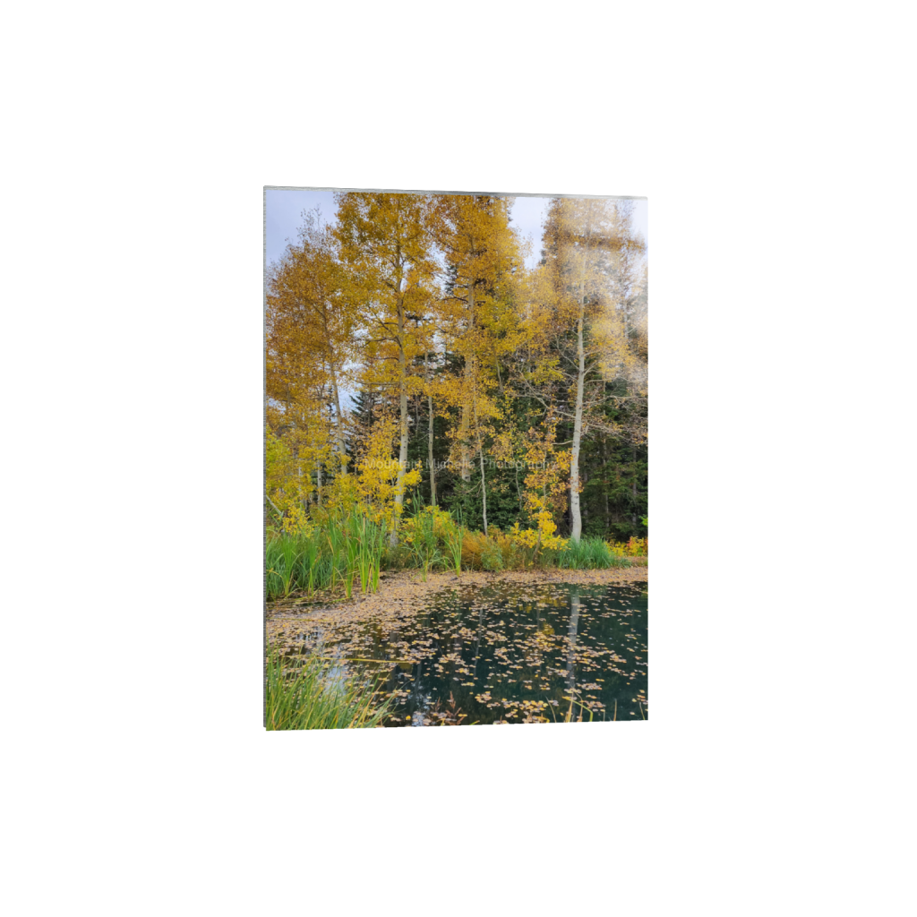 ptq_13_7_0_692_1868_2615_0_false_ffffff_0_0_731a5c5f601d11ffb5c856ca918f5642.png