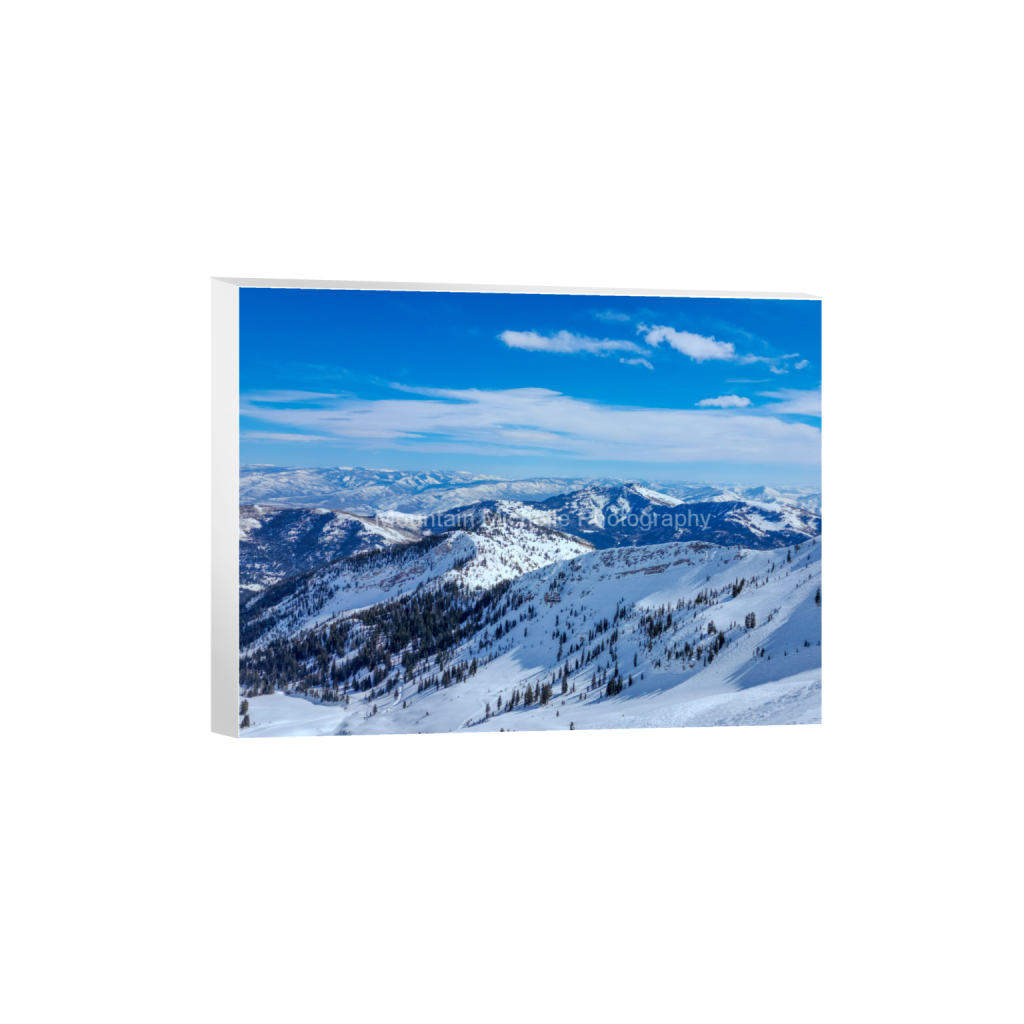 ptq_7_5_2269_0_7461_5596_0_false_ffffff_0_0_731a5c5f601d11ffb5c856ca918f5642.png
