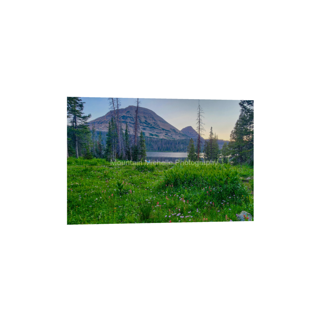 ptq_1_3_405_0_2802_1868_0_false_ffffff_1_1_731a5c5f601d11ffb5c856ca918f5642.png