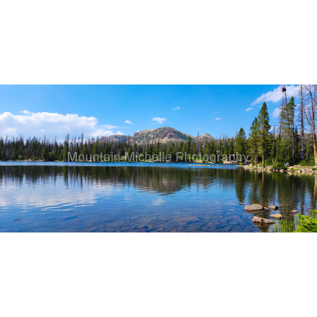 image_original_731a5c5f601d11ffb5c856ca918f5642.png