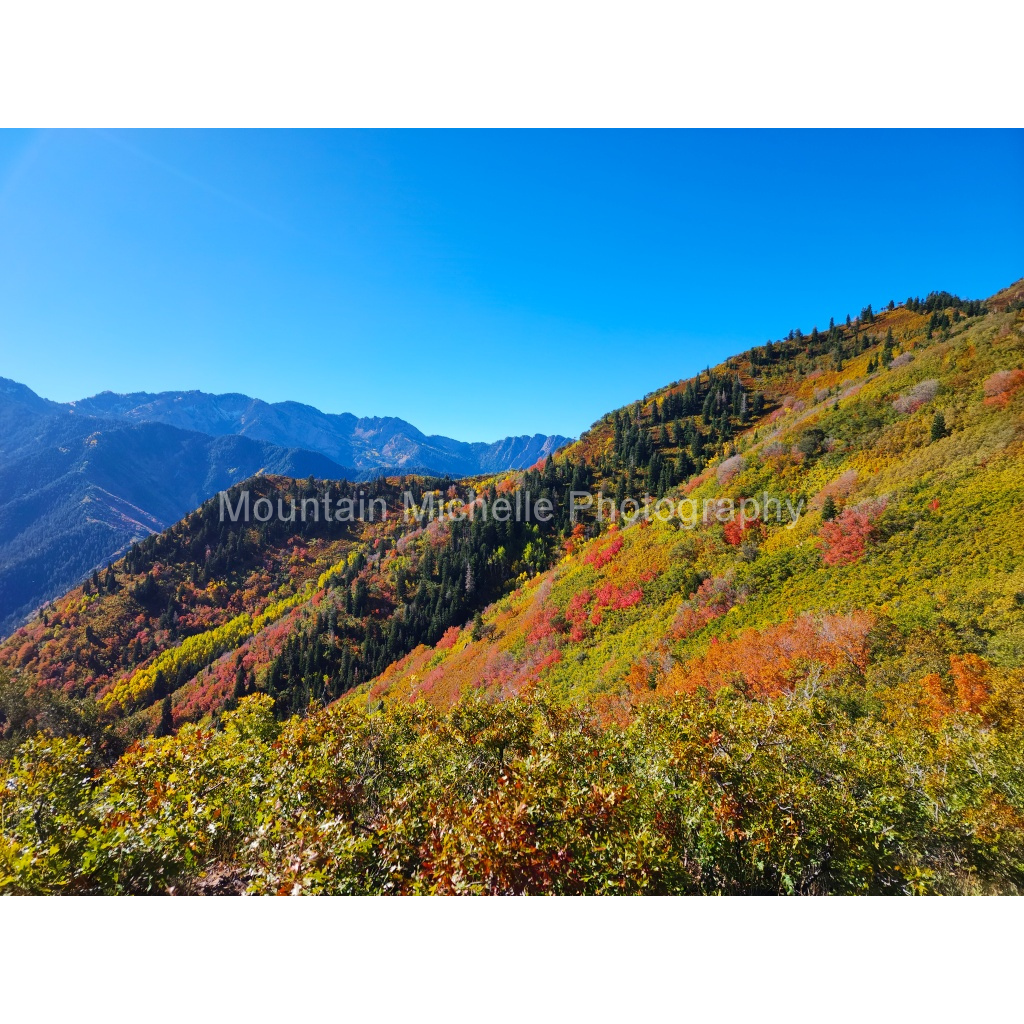 image_original_731a5c5f601d11ffb5c856ca918f5642.png