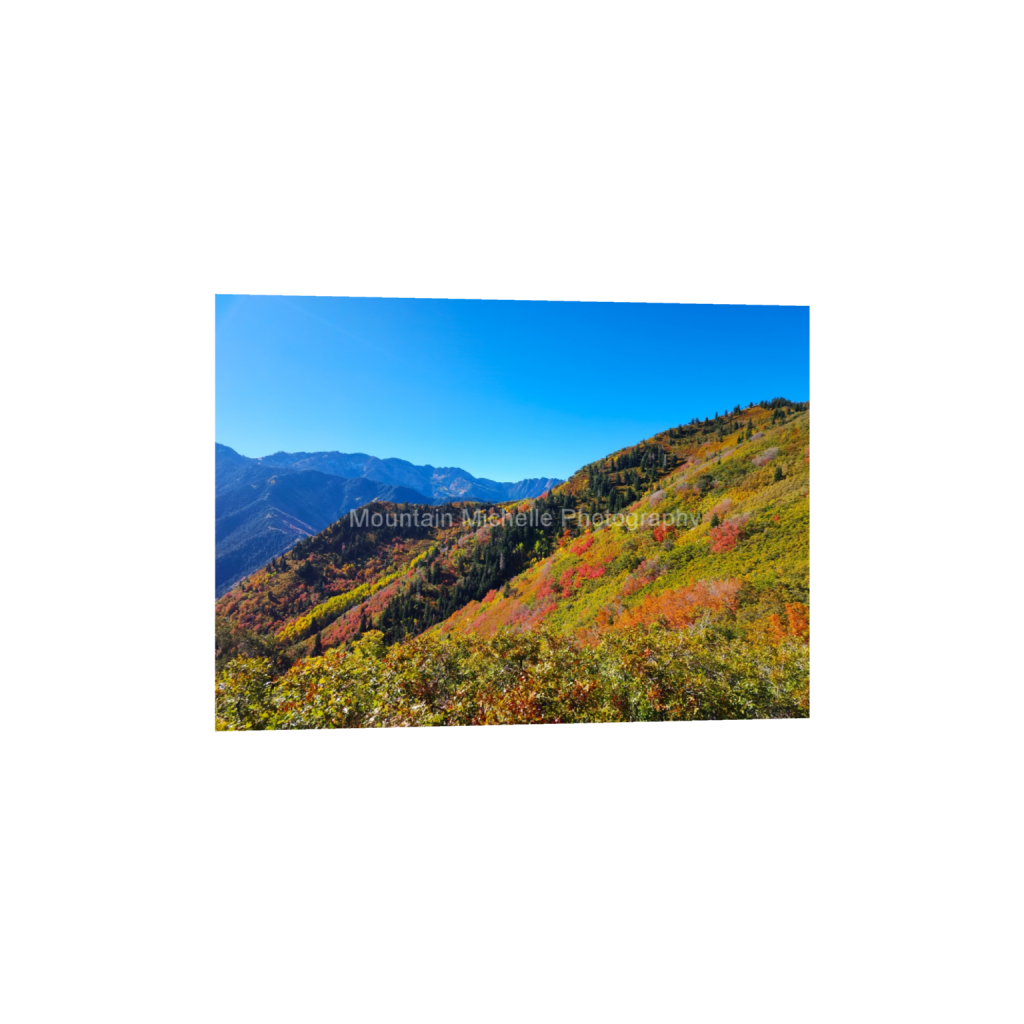 ptq_1_7_0_0_12000_8571_0_false_ffffff_0_0_731a5c5f601d11ffb5c856ca918f5642.png