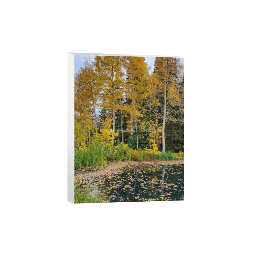 ptq_7_5_0_754_1868_2490_0_false_ffffff_0_0_731a5c5f601d11ffb5c856ca918f5642.png