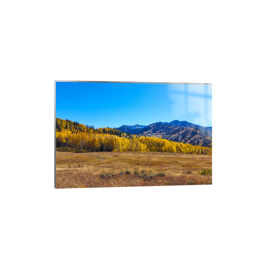 ptq_13_3_0_500_12000_8000_0_false_ffffff_0_0_731a5c5f601d11ffb5c856ca918f5642.png