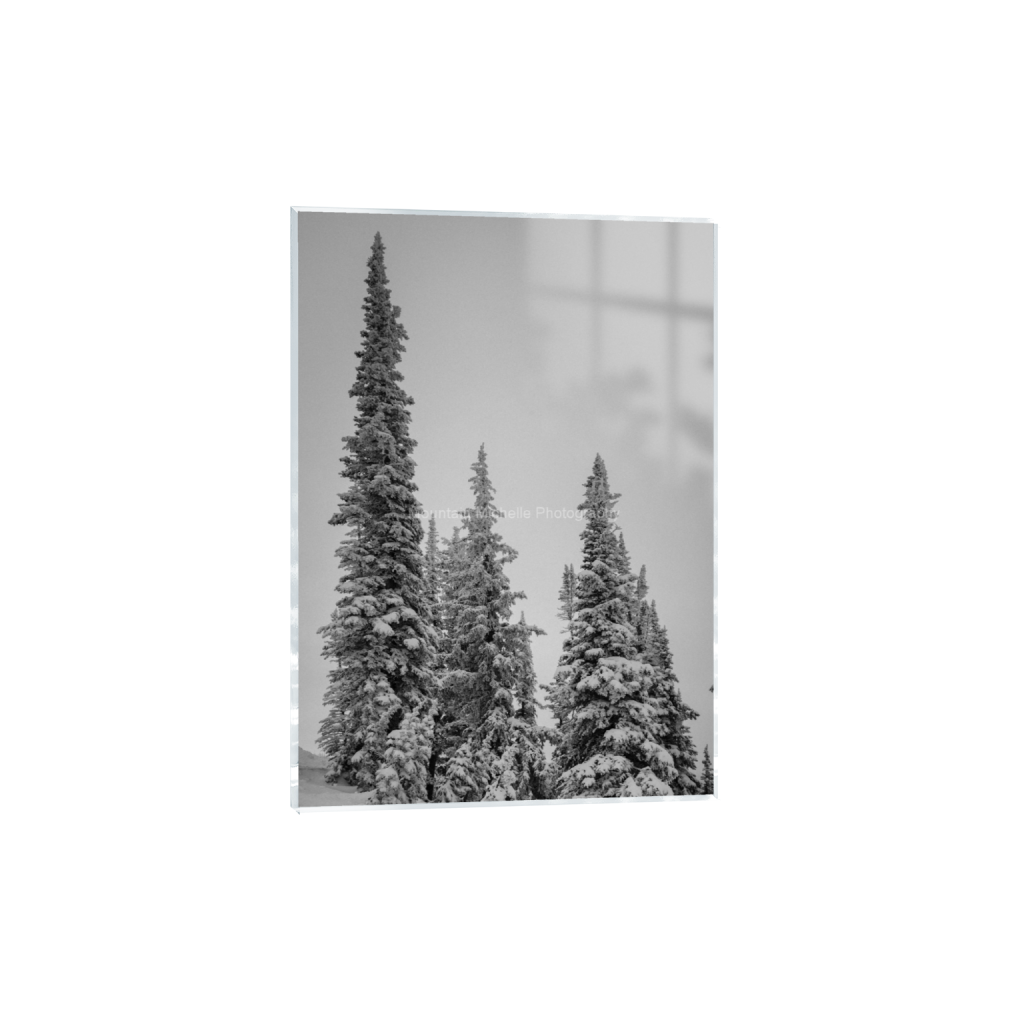 ptq_17_7_0_0_5596_7834_0_false_ffffff_0_0_731a5c5f601d11ffb5c856ca918f5642.png