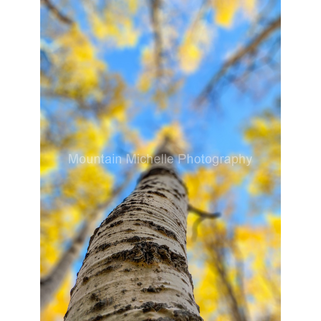 image_original_731a5c5f601d11ffb5c856ca918f5642.png