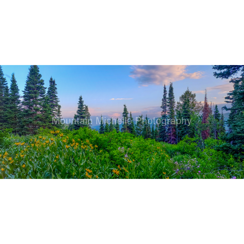 image_original_731a5c5f601d11ffb5c856ca918f5642.png